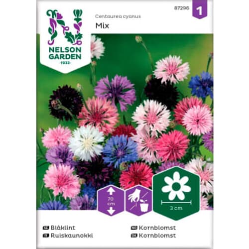 Blåklint Blandade färger Hög