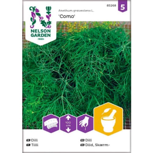 Dill Como