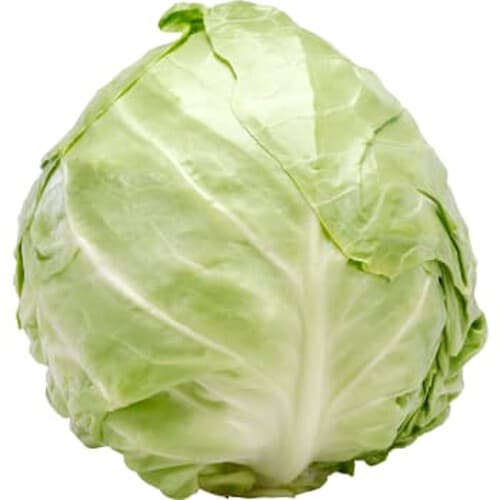 Vitkål färsk