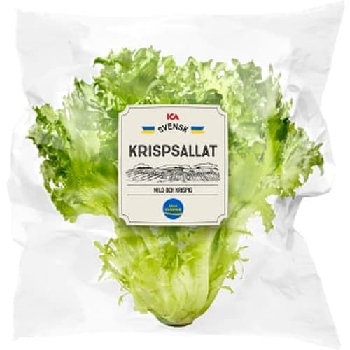 Krispsallat