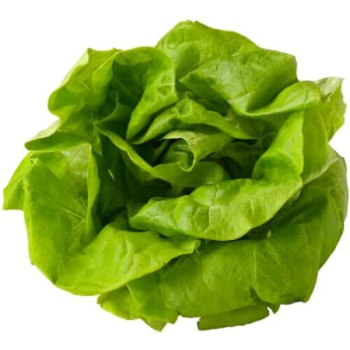 Huvudsallad