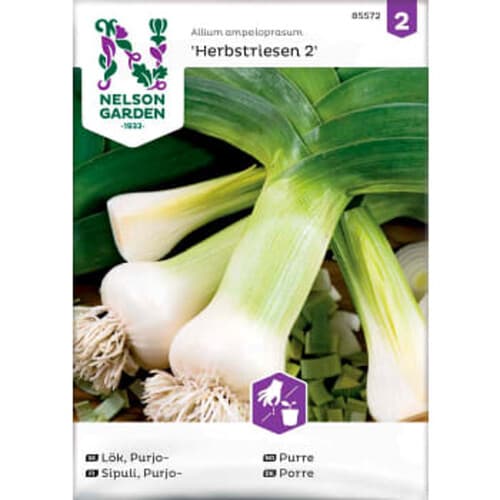 Lök Purjo Herbstriesen 2