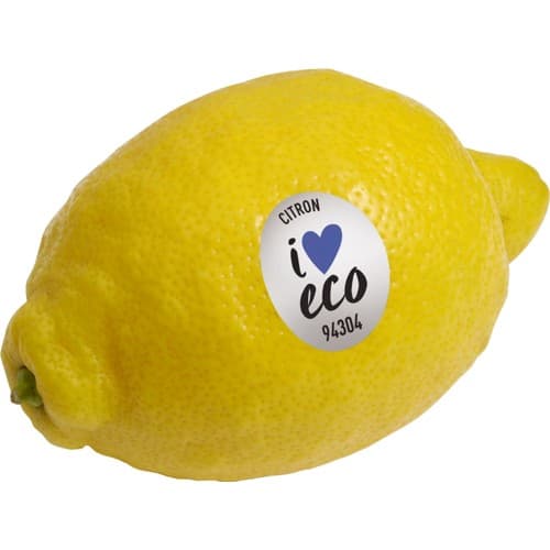 Citron Eko Klass 1