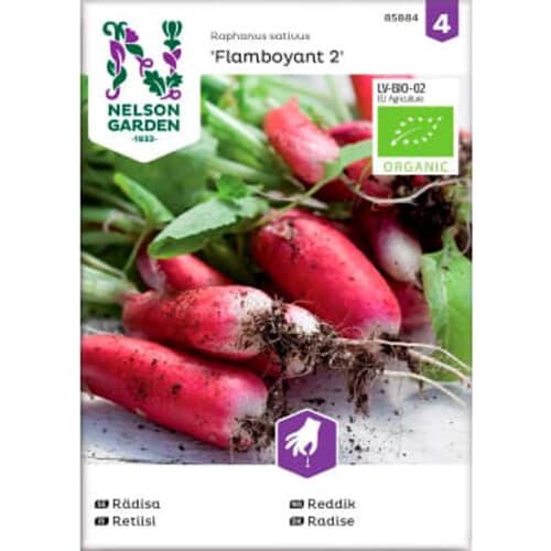 Rädisa Flamboyant 1-p