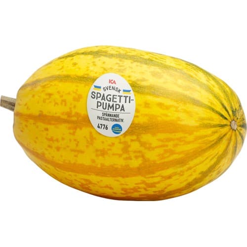 Spaghettipumpa