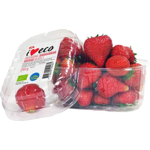 Jordgubbar Ekologiska