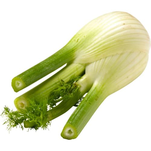 Fänkål Klass 1