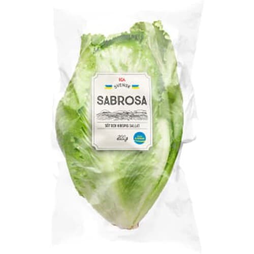 Sallad Sabrosa