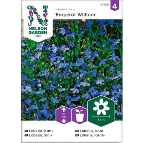 Lobelia Kant Emperor William