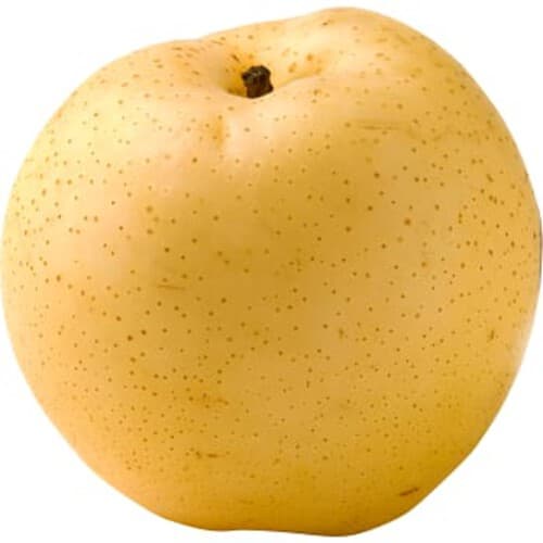 Japanpäron
