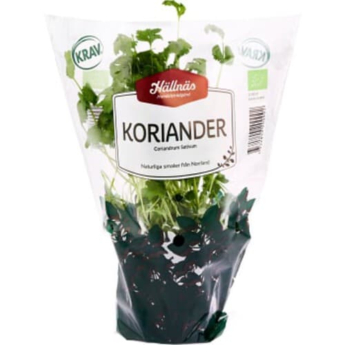 Koriander Kruka KRAV Hällnäs Handelsträdgård