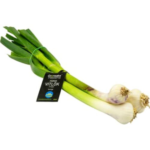 Färsk Vitlök
