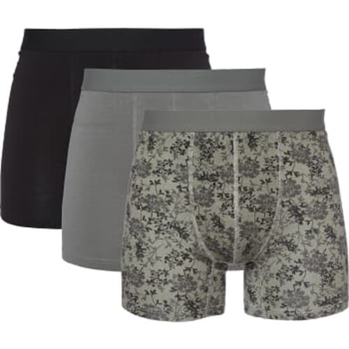 Boxer Ivar