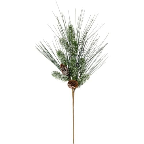 Grankvist frost m kottar ic Season