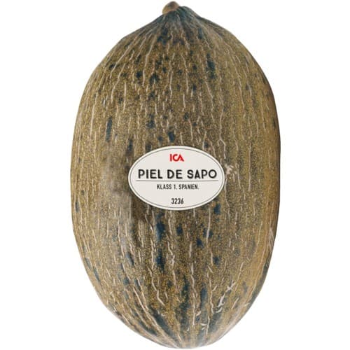 Melon Piel de Sapo