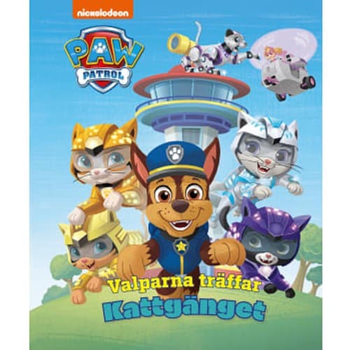 Valparna träffar Kattgänget