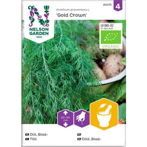 Dill Gold Crown Organic