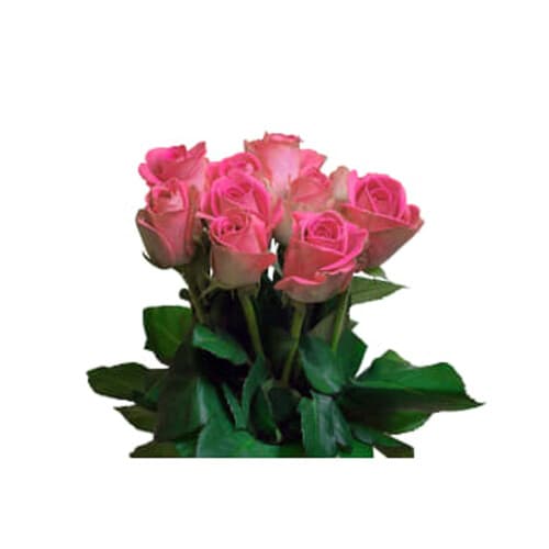 Rosor Varierande färger 10p