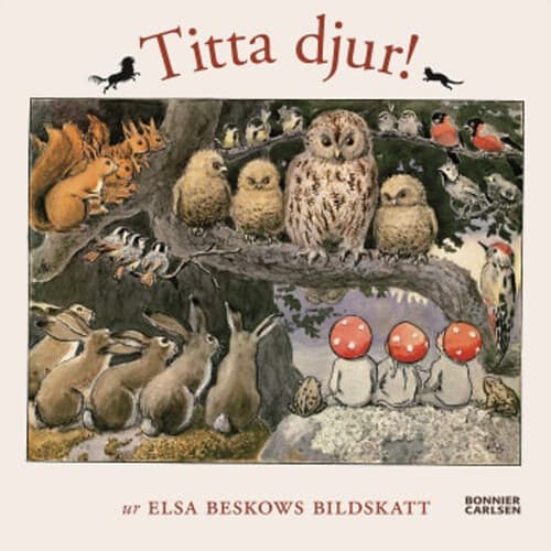 Titta djur! : en pekbok