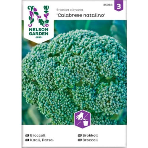 Broccoli Calabrese Natalino