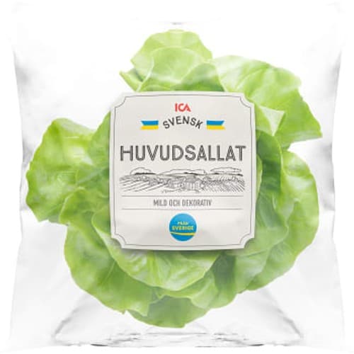 Huvudsallat