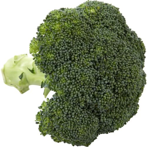 Broccoli