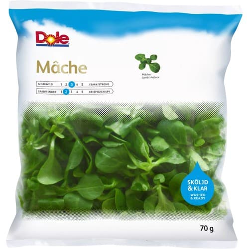 Mâche