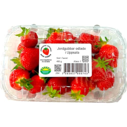 Jordgubbar Svenska Uppsala "Lyx" klass1
