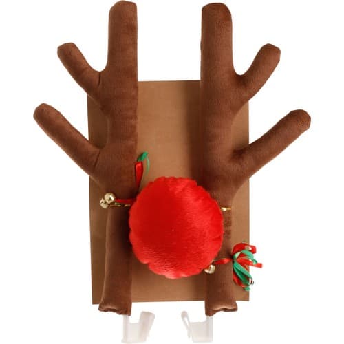 Renhorn och nos till bil