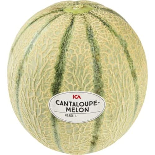 Melon Cantaloupe 1-p