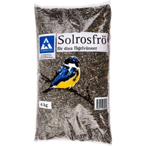 Solrosfrö