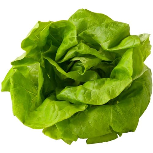 Huvudsallad