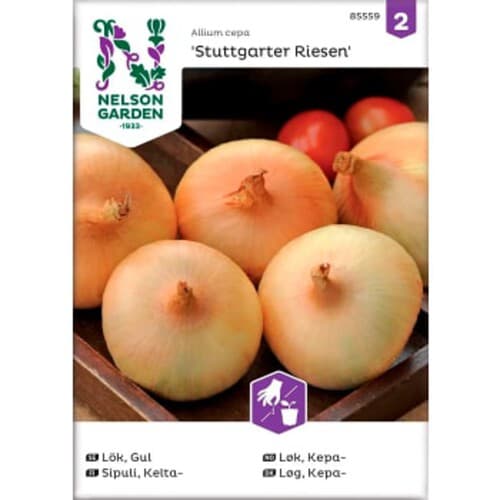 Lök Gul Stuttgarter Riesen