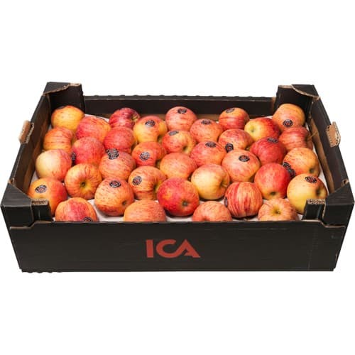 Äpple Royal Gala låda