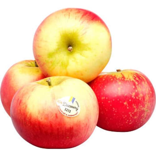Äpple Discovery