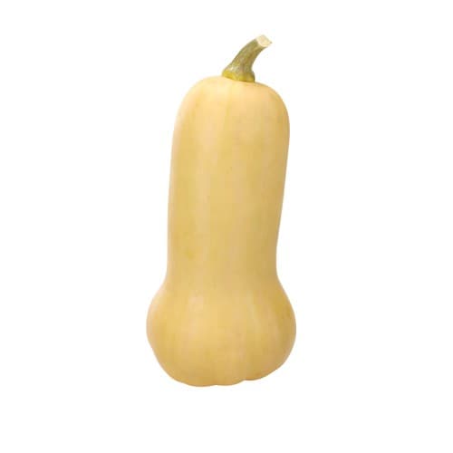 Pumpa Butternut