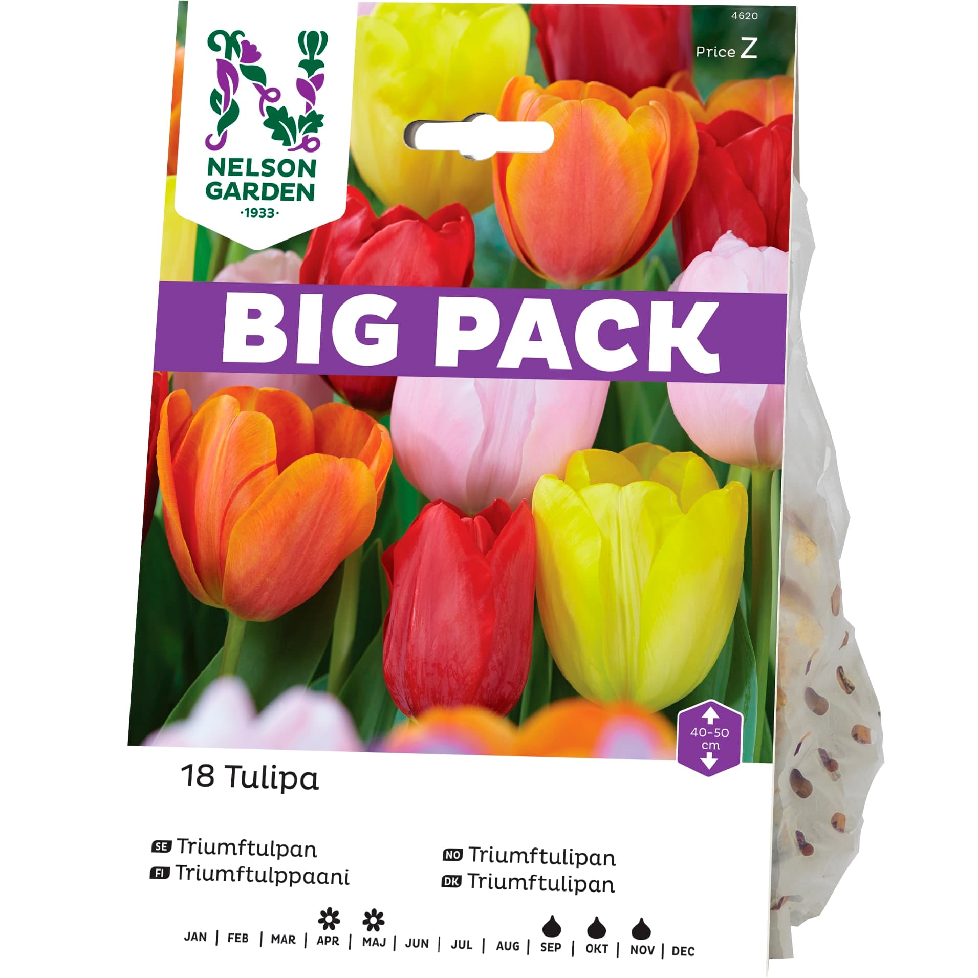 Höstlök Triumftulpan Mix BigPack