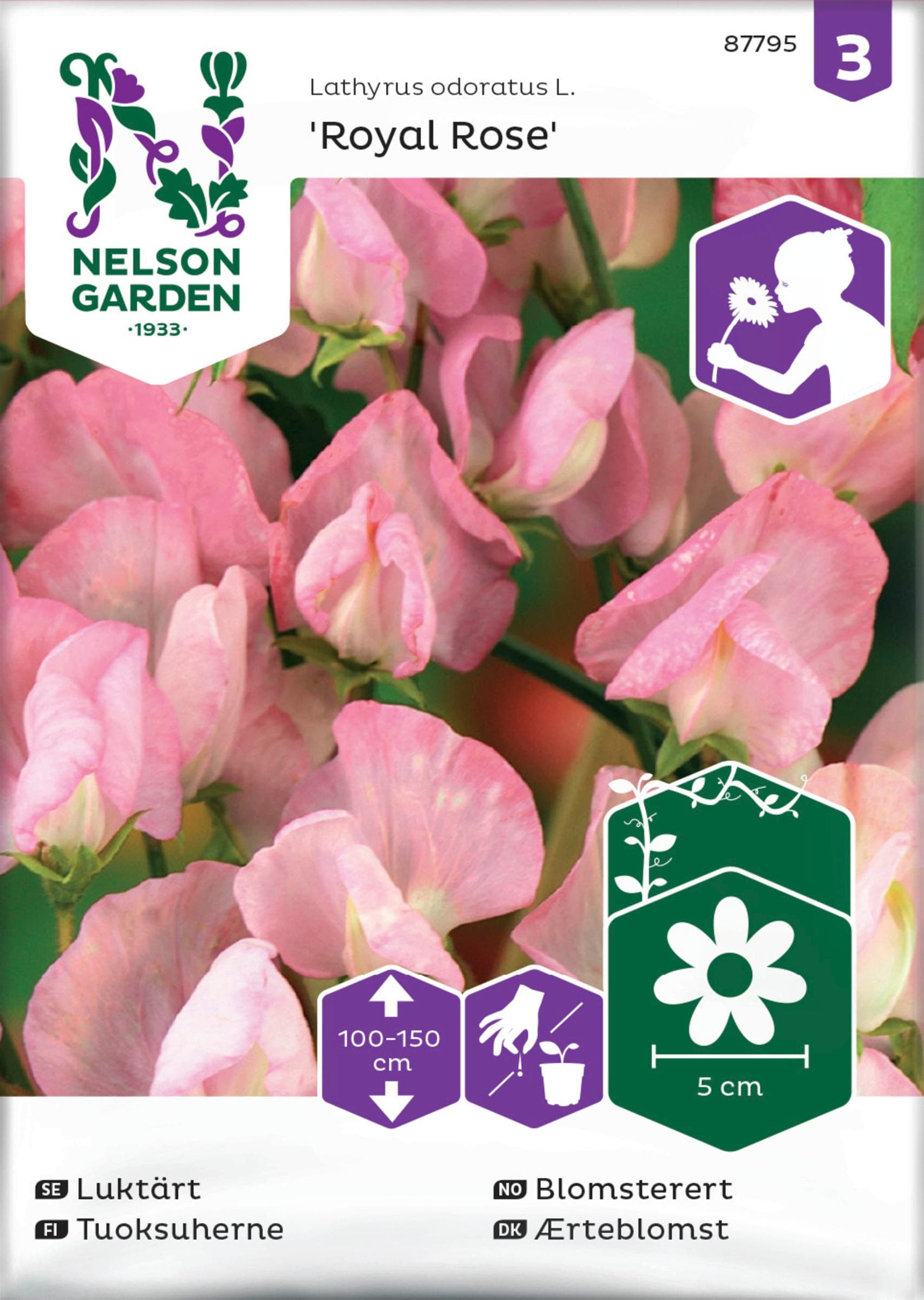 Fröer Luktärt Rosa