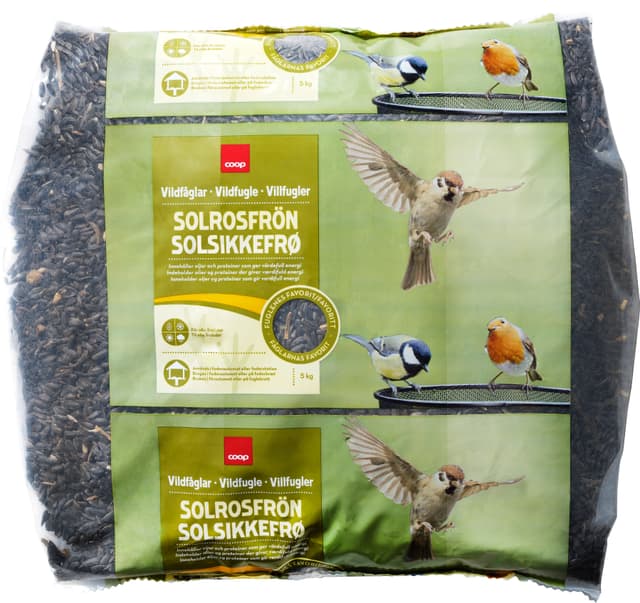 Solrosfrön Vildfåglar