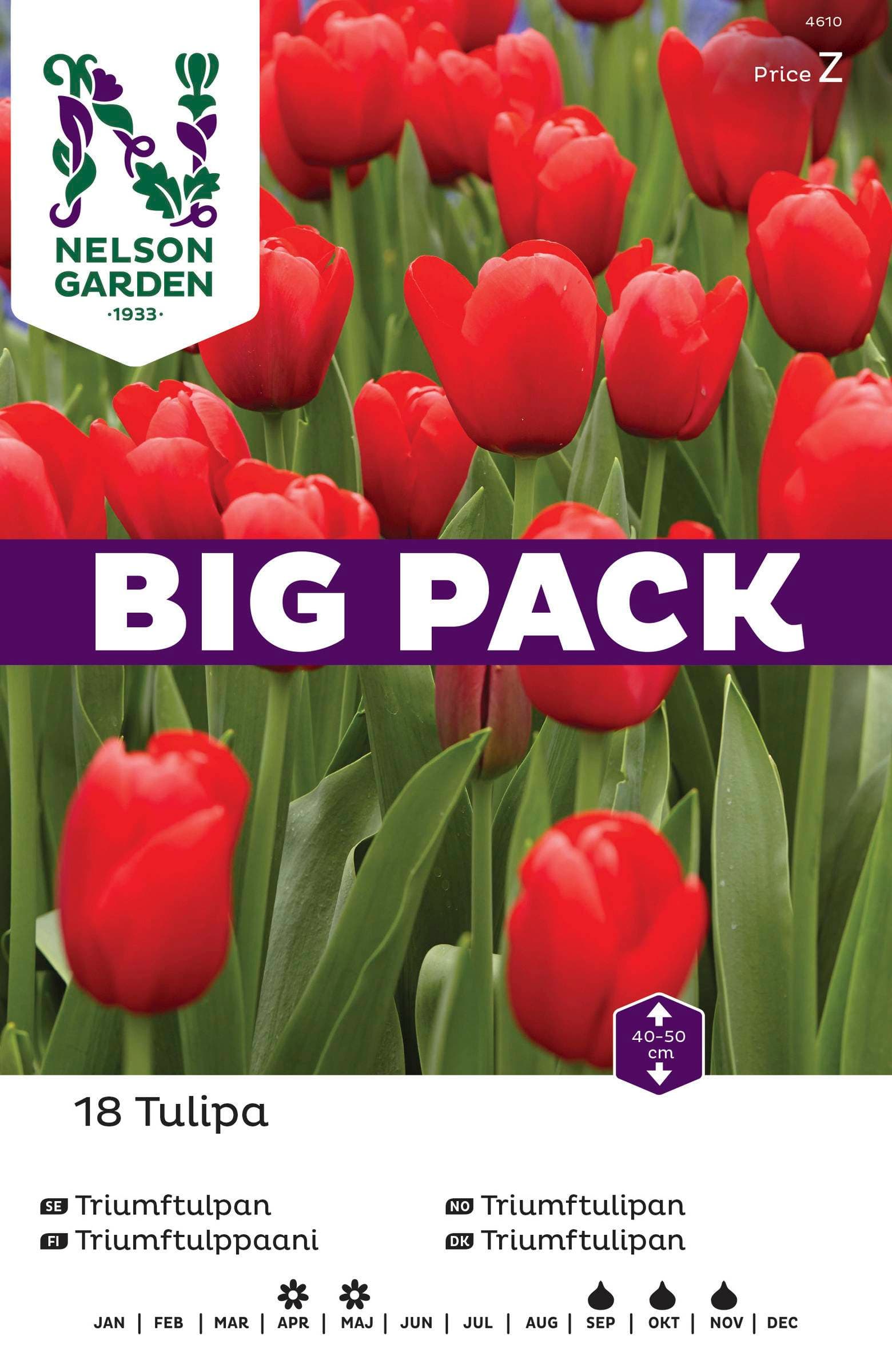 Höstlök Triumftulpan Röd BigPack