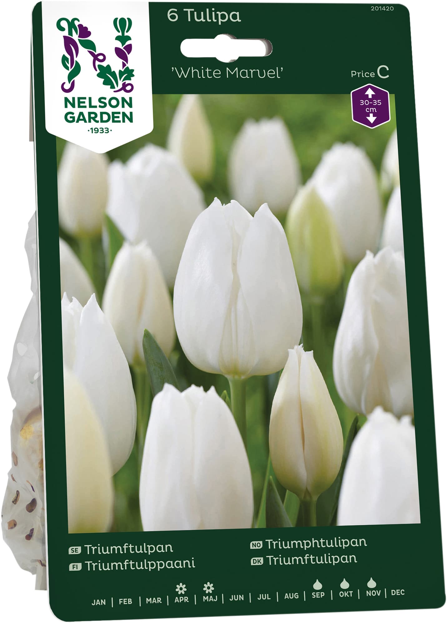 Höstlök Triumftulpan White Marvel