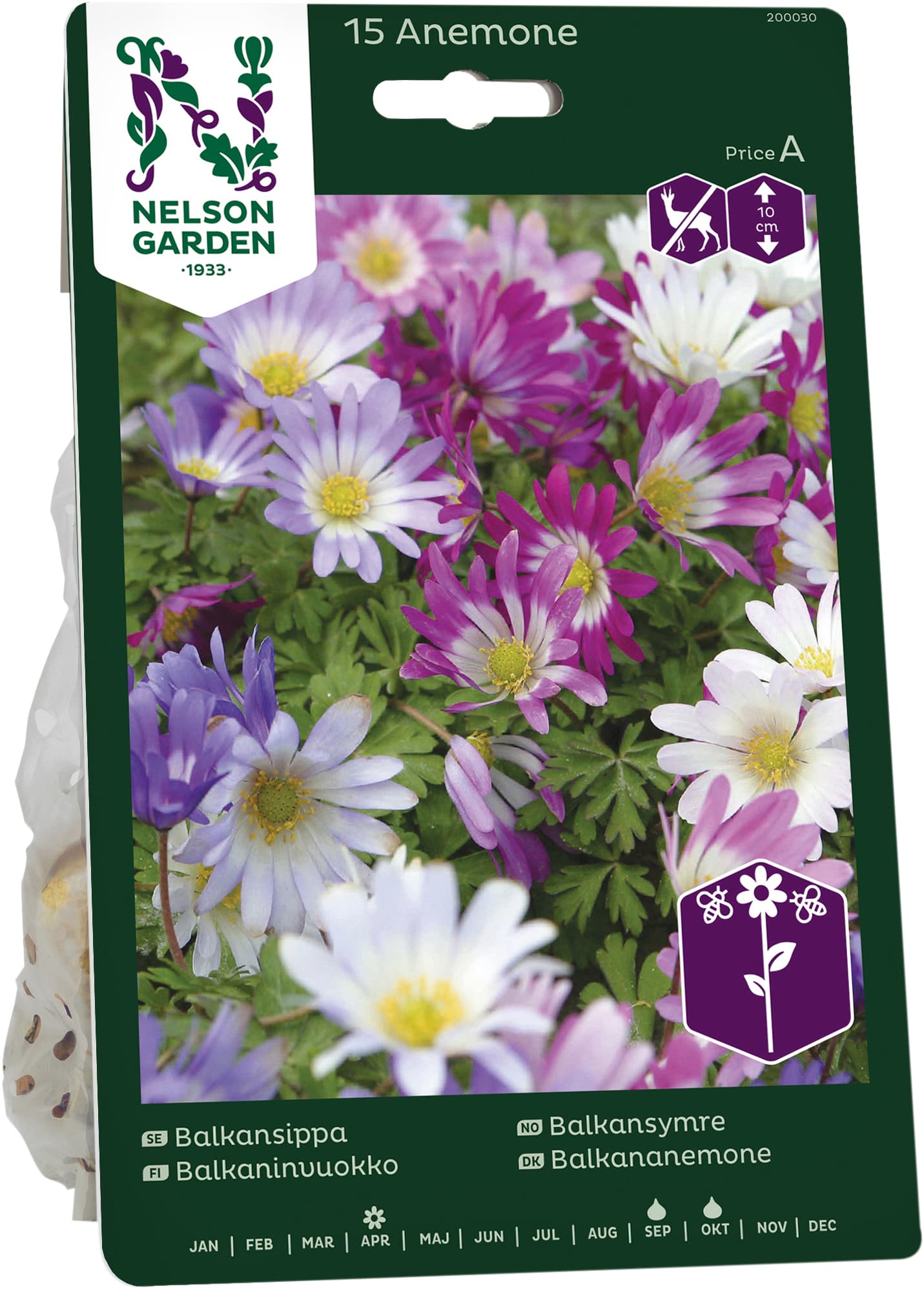 Vårlök Balkansippa Blandade färger