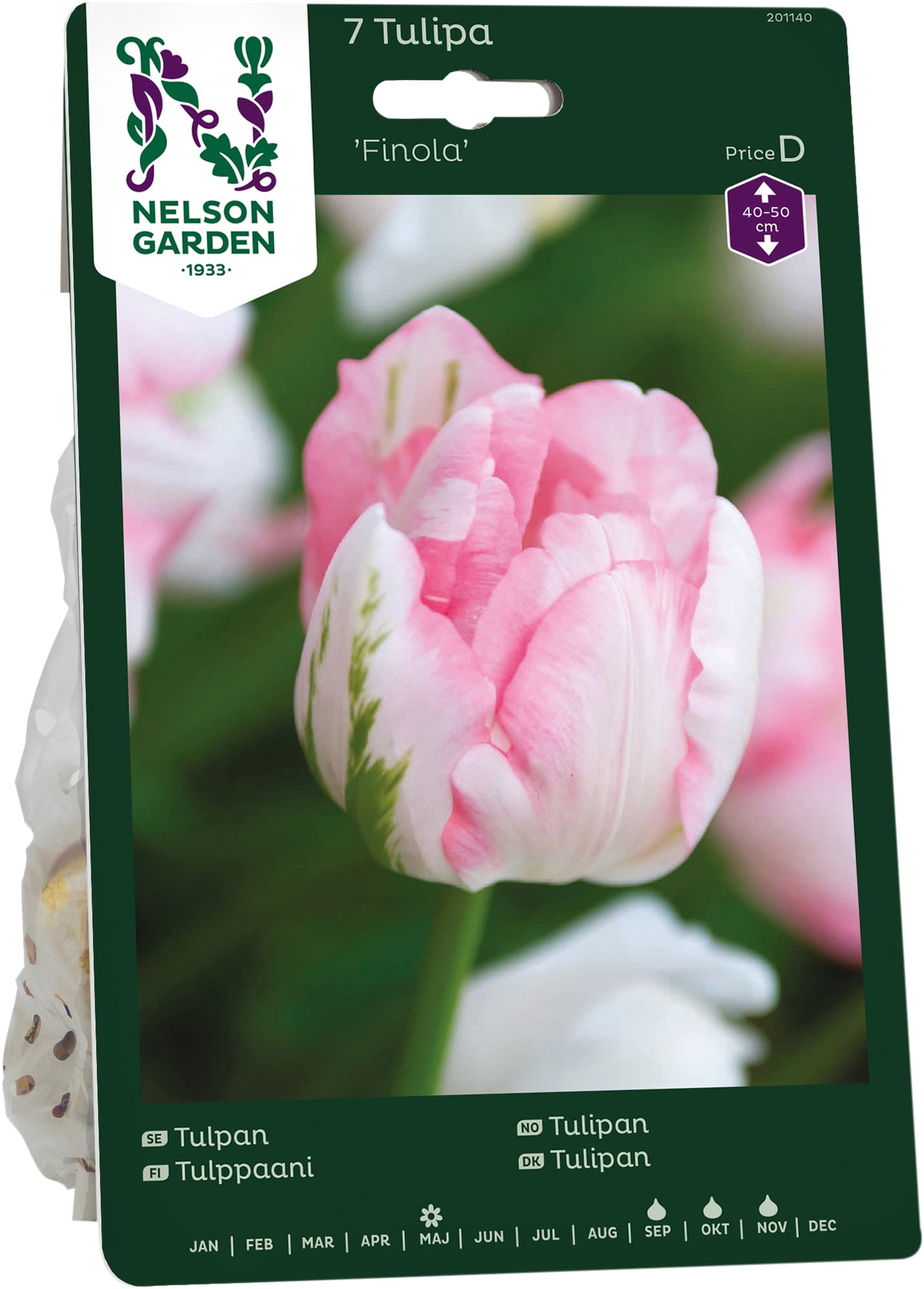 Höstlök Tulpan Finola