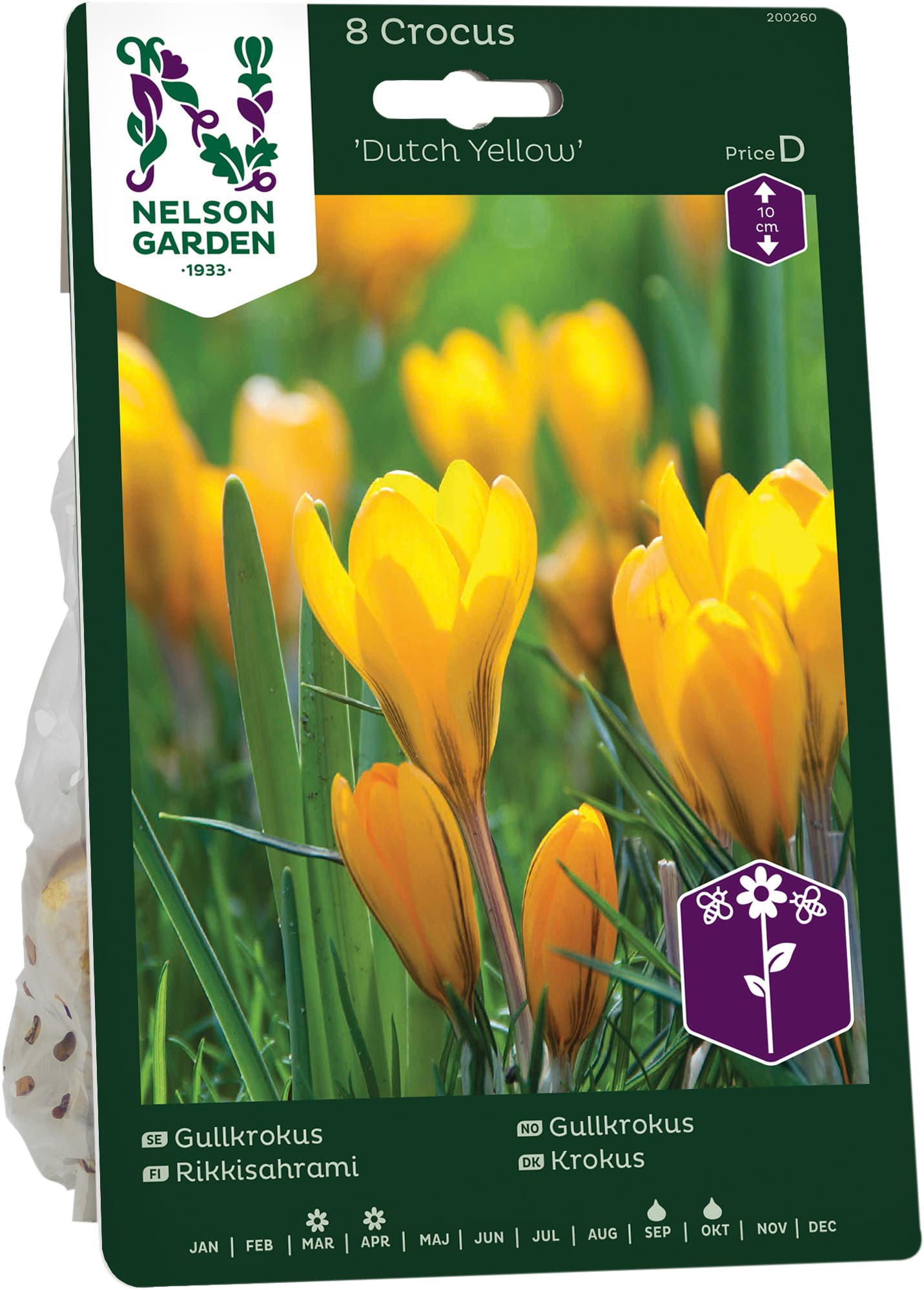 Höstlök Gullkrokus Dutch Yellow