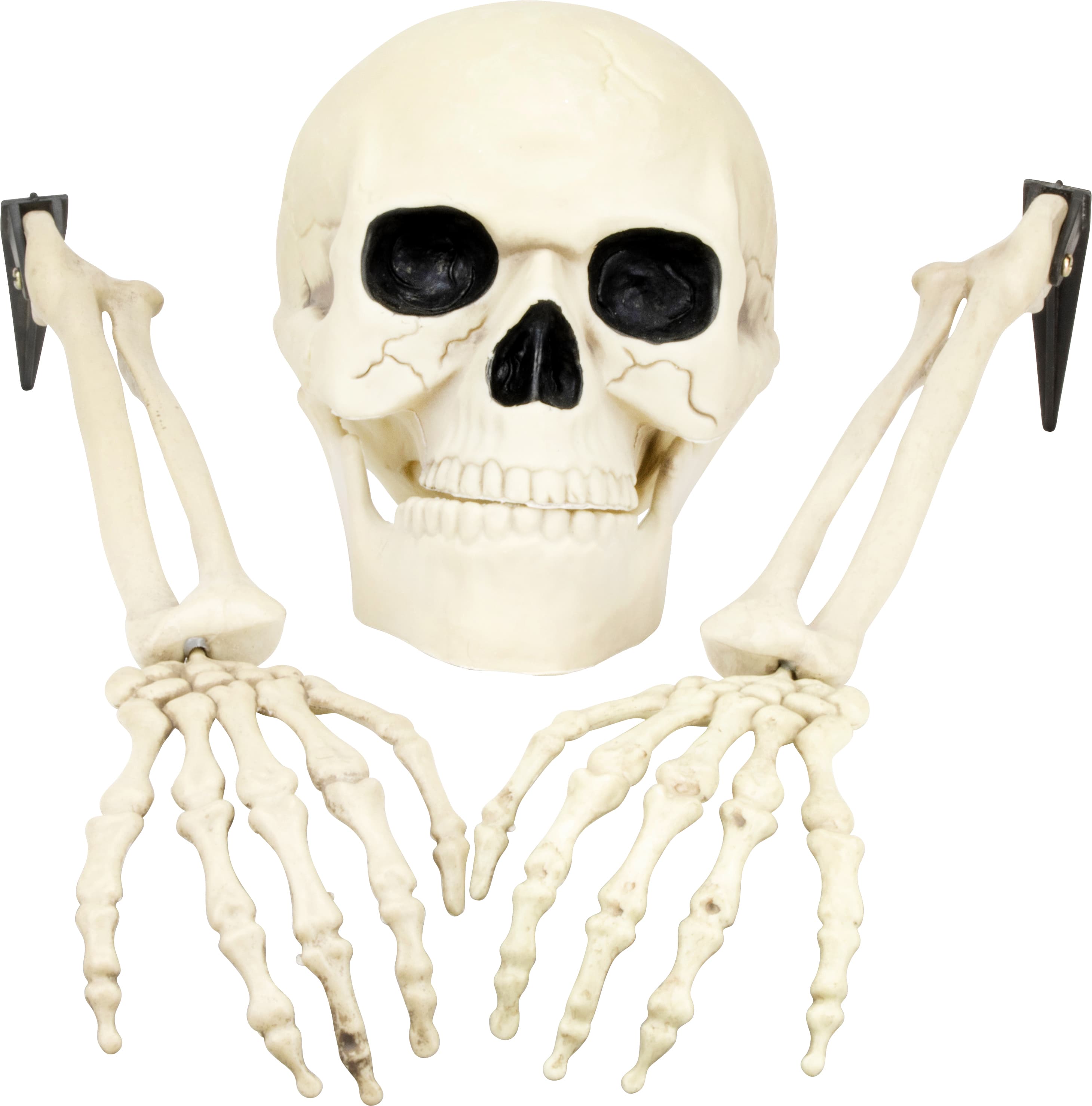 Dekoration skeletthuvud & skelettarmar