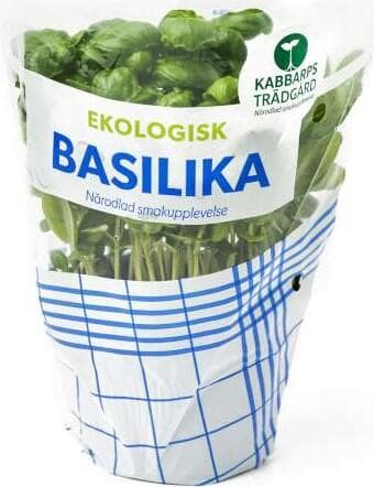 Basilika Kruka Stor Eko Klass 1