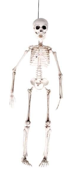 Dekoration Halloween Skelett