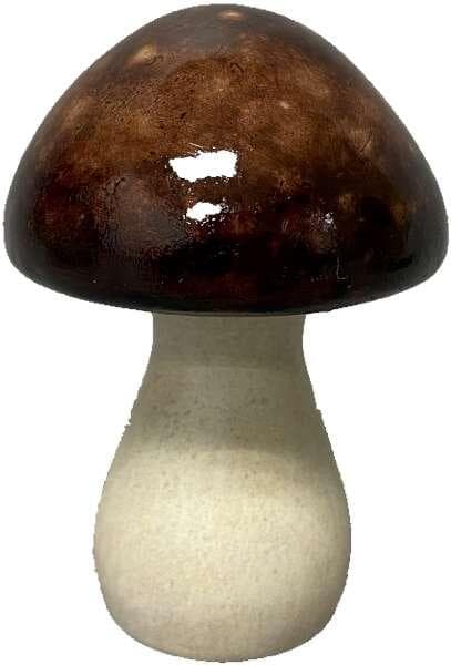 Svamp Brun