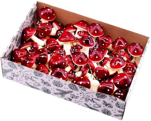 Röda svampar olika storlekar